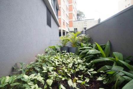 Apartamento para alugar com 35m², 1 quarto e sem vaga Apartamento para alugar com 35m², 1 quarto e sem vagaÁrea comum