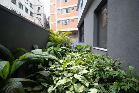 Apartamento para alugar com 35m², 1 quarto e sem vaga Apartamento para alugar com 35m², 1 quarto e sem vagaÁrea comum