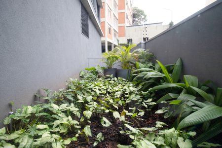 Apartamento para alugar com 35m², 1 quarto e sem vaga Apartamento para alugar com 35m², 1 quarto e sem vagaÁrea comum