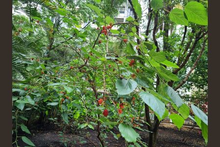 Apartamento à venda com 178m², 4 quartos e 2 vagas Apartamento à venda com 178m², 4 quartos e 2 vagasFoto 53