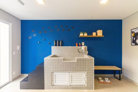 Apartamento para alugar com 36m², 2 quartos e sem vagaPet care