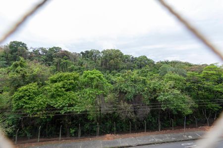 Vista do Quarto 1 de apartamento para alugar com 2 quartos, 54m² em Castelo, Belo Horizonte
