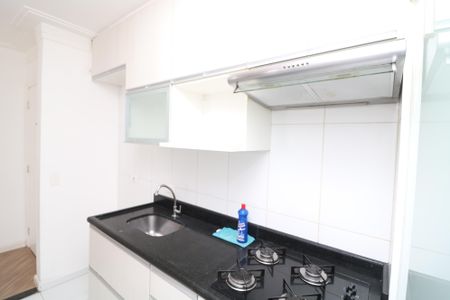 Apartamento para alugar com 52m², 2 quartos e 1 vagaCozinha