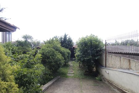 Casa para alugar com 990m², 6 quartos e 8 vagasQuintal