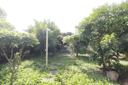 Casa para alugar com 990m², 6 quartos e 8 vagasQuintal