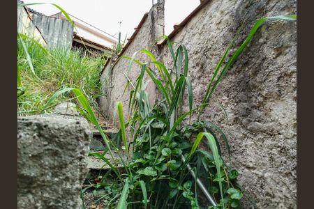 Casa à venda com 330m², 2 quartos e 4 vagasQuintal - área verde