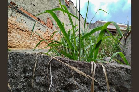 Casa à venda com 330m², 2 quartos e 4 vagasQuintal - área verde