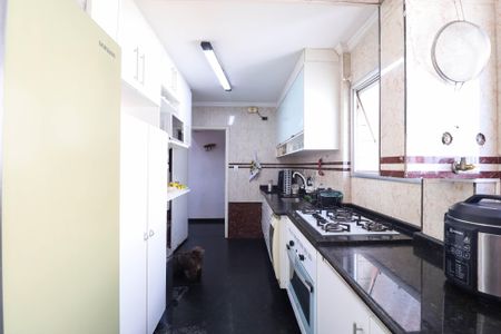 Apartamento à venda com 157m², 3 quartos e 1 vagaCozinha