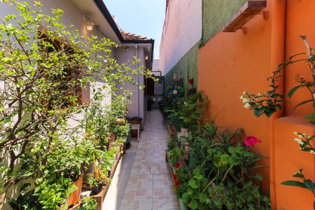 Casa à venda com 195m², 2 quartos e 1 vagaQuintal