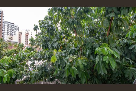 Apartamento à venda com 120m², 3 quartos e 1 vagaQuarto 2 Vista