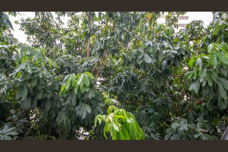 Apartamento à venda com 120m², 3 quartos e 1 vagaVista Suíte