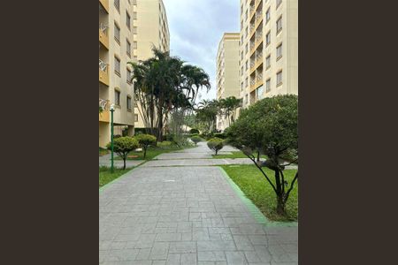 Apartamento à venda com 64m², 3 quartos e 1 vaga