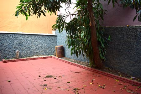 Casa para alugar com 176m², 3 quartos e 2 vagasQuintal