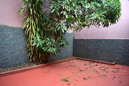 Casa para alugar com 176m², 3 quartos e 2 vagasQuintal