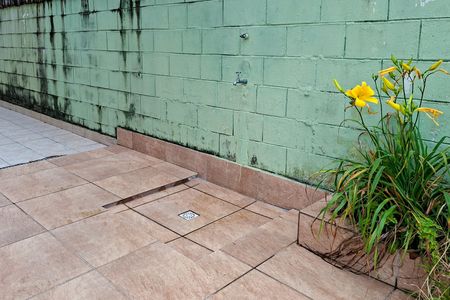 Apartamento para alugar com 46m², 1 quarto e 1 vaga Apartamento para alugar com 46m², 1 quarto e 1 vagaLava pés