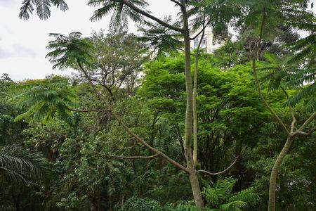 Apartamento à venda com 68m², 2 quartos e 1 vagaVista do Quarto 2