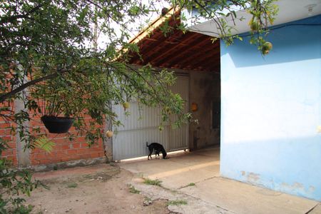 Casa à venda com 79m², 2 quartos e 8 vagasQuintal 