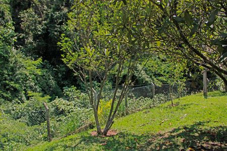 Casa de condomínio para alugar com 304m², 3 quartos e 4 vagasÁrea comum