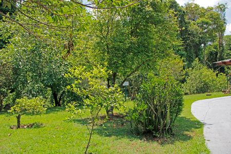 Casa de condomínio para alugar com 304m², 3 quartos e 4 vagasÁrea comum