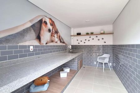 Apartamento para alugar com 35m², 2 quartos e sem vaga Apartamento para alugar com 35m², 2 quartos e sem vagaÁrea comum - Pet Care
