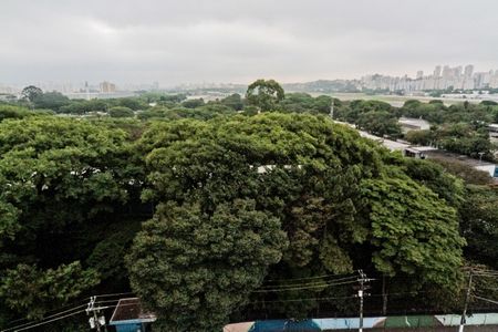 Apartamento para alugar com 30m², 1 quarto e 1 vagaVista