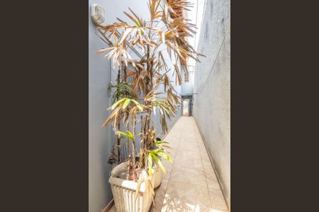 Casa à venda com 188m², 3 quartos e 2 vagas Casa à venda com 188m², 3 quartos e 2 vagasQuintal