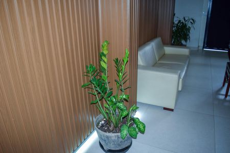 Studio para alugar com 36m², 1 quarto e sem vagaÁrea comum