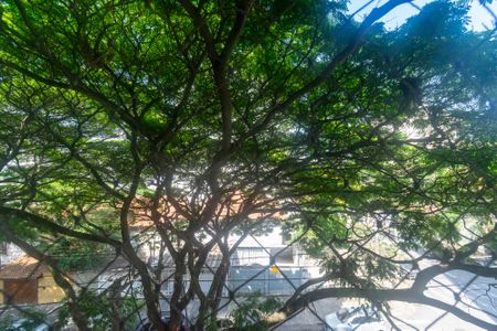 Apartamento para alugar com 90m², 3 quartos e 1 vagaVista do Quarto 3