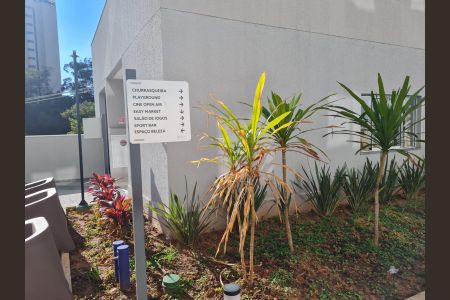 Apartamento para alugar com 35m², 2 quartos e sem vaga Apartamento para alugar com 35m², 2 quartos e sem vagaÁrea comum