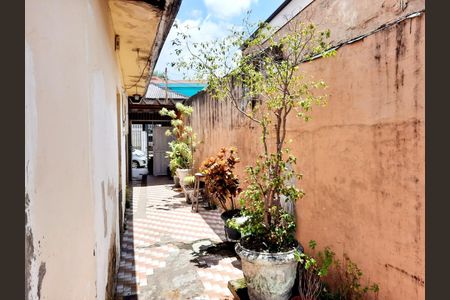 Casa à venda com 230m², 2 quartos e 2 vagas Casa à venda com 230m², 2 quartos e 2 vagasFoto 23