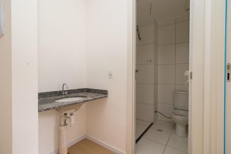 Lavabo de apartamento para alugar com 2 quartos, 34m² em Cidade São Mateus, São Paulo