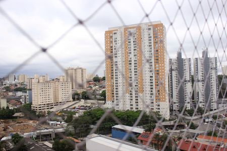 Apartamento para alugar com 52m², 2 quartos e 1 vagaVista da lavanderia