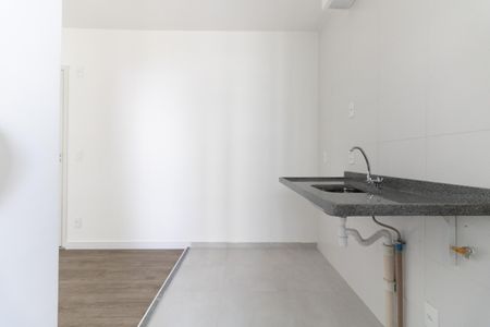 Apartamento para alugar com 37m², 2 quartos e sem vagaCozinha 