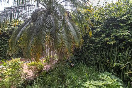 Casa para alugar com 180m², 2 quartos e 2 vagas Casa para alugar com 180m², 2 quartos e 2 vagasÁrea comum