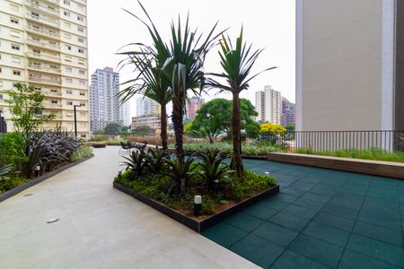 Studio para alugar com 30m², 1 quarto e sem vagaÁrea comum