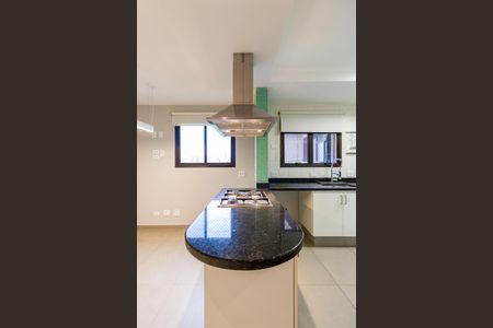 Apartamento para alugar com 254m², 4 quartos e 4 vagas Apartamento para alugar com 254m², 4 quartos e 4 vagasCozinha