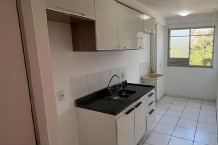 Cozinha de apartamento para alugar com 2 quartos, 44m² em Jardim Morumbi (nova Veneza), Sumaré