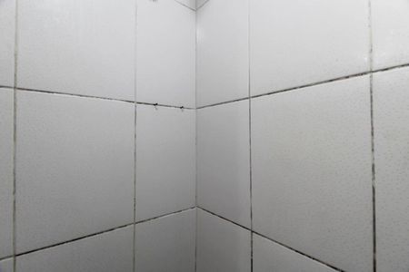 Casa para alugar com 55m², 1 quarto e sem vaga Casa para alugar com 55m², 1 quarto e sem vagaBanheiro