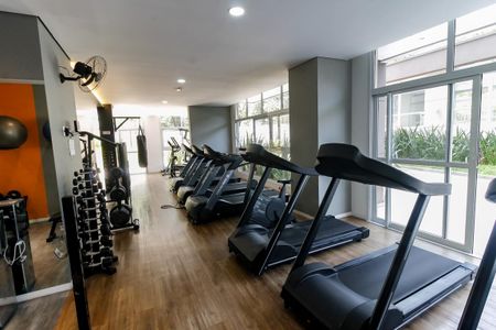 Apartamento para alugar com 56m², 2 quartos e 1 vaga Apartamento para alugar com 56m², 2 quartos e 1 vagaÁrea comum - Academia