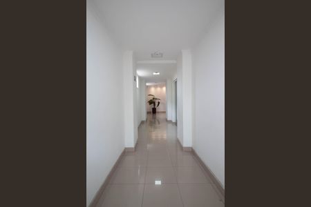 Apartamento à venda com 66m², 2 quartos e 1 vaga Apartamento à venda com 66m², 2 quartos e 1 vagaHall social