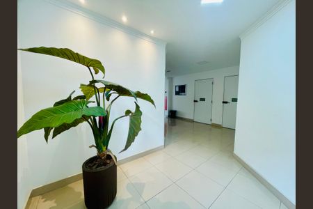 Apartamento à venda com 66m², 2 quartos e 1 vaga Apartamento à venda com 66m², 2 quartos e 1 vagaHall social