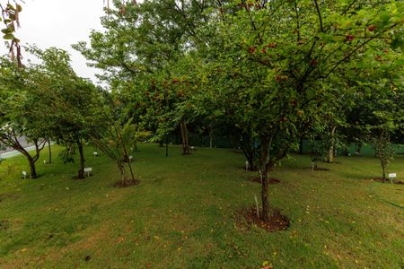 Casa de condomínio para alugar com 260m², 4 quartos e 5 vagasÁrea comum