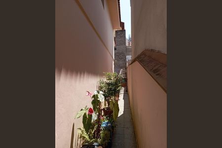 Casa à venda com 3 quartos, 146m² em Vila Floresta, Santo André