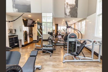 Apartamento para alugar com 246m², 4 quartos e 5 vagasÁrea comum - Academia