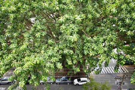 Apartamento para alugar com 60m², 2 quartos e sem vaga Apartamento para alugar com 60m², 2 quartos e sem vagaVista do Quarto 1