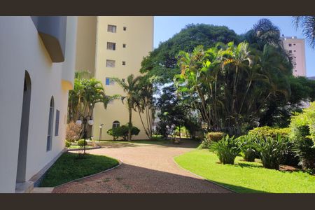 Apartamento para alugar com 104m², 3 quartos e 2 vagasÁrea comum