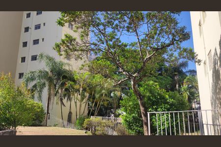 Apartamento para alugar com 104m², 3 quartos e 2 vagasÁrea comum