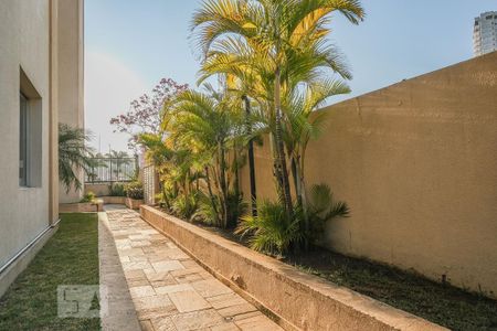 Apartamento para alugar com 70m², 3 quartos e 2 vagas Apartamento para alugar com 70m², 3 quartos e 2 vagasÁrea comum