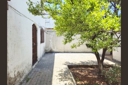 Casa para alugar com 226m², 3 quartos e 4 vagas Casa para alugar com 226m², 3 quartos e 4 vagasÁrea externa