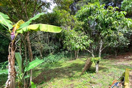 Casa de condomínio à venda com 1800m², 4 quartos e 4 vagasFundos